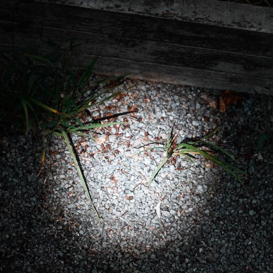 Stærk lommelygte med LED-teknologi - Klik p&aring; billedet for at lukke