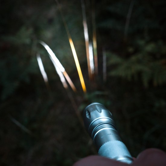 Stærk lommelygte med LED-teknologi - Klik p&aring; billedet for at lukke