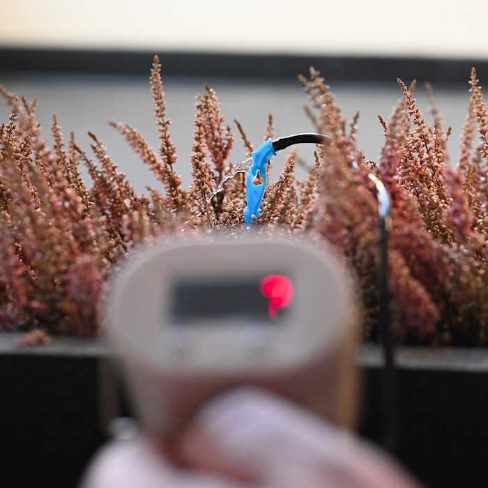 Automatisk blomstervandning (6-pack)