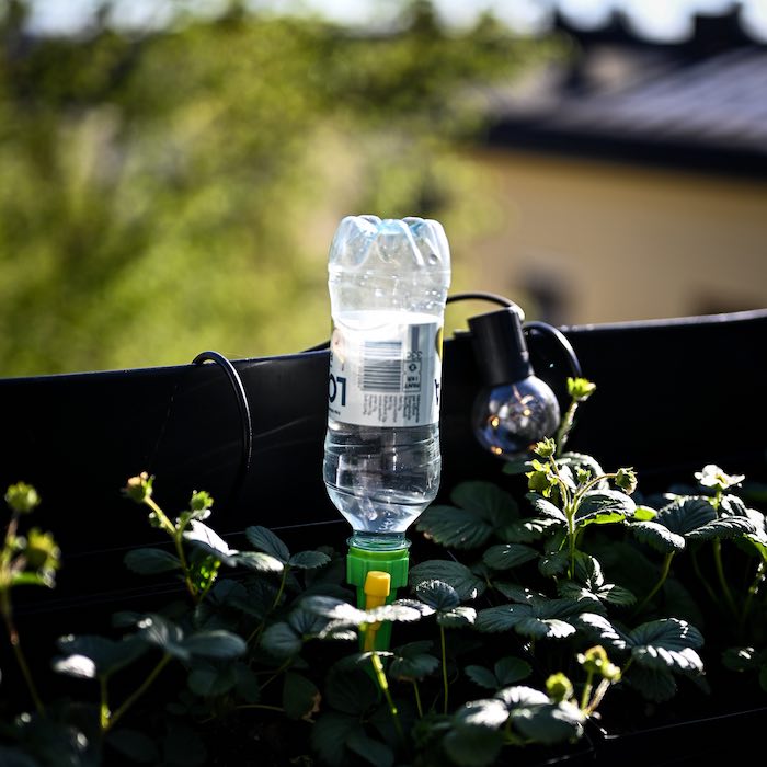 Automatisk blomstervandning (6-pack)